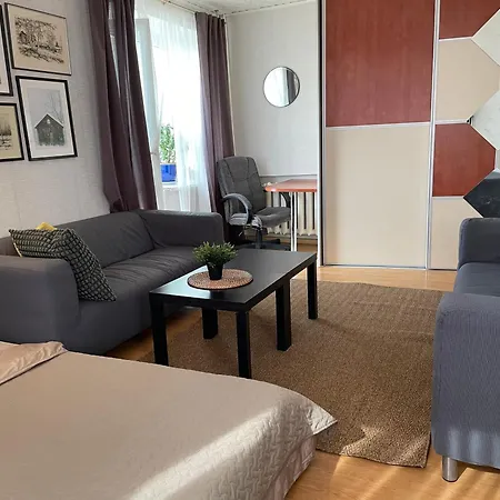 Apartment Skolas 1 *